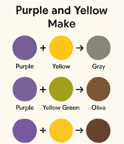 What Is the Colour Combination for Yellow and Purple?