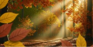 True Autumn Celebrities: Who Shines in Earthy Warmth?